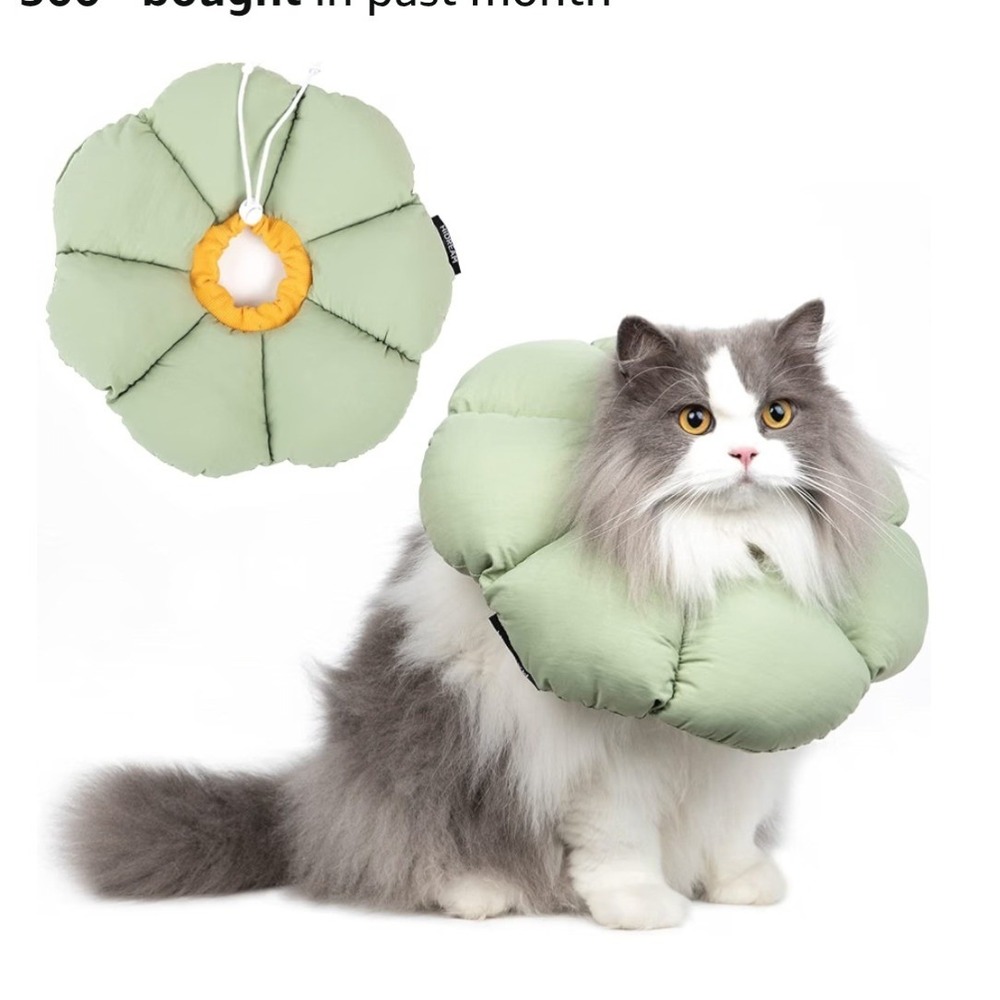 HiDREAM Soft Cat Recovery Collar Adjustable Flower Water Resistant Sage Green